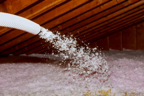 Best Eco-Friendly Insulation in Woodside, PA